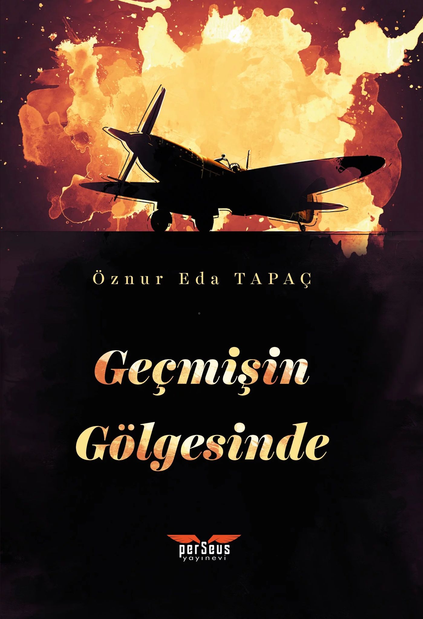 Geçmişin Gölgesinde
